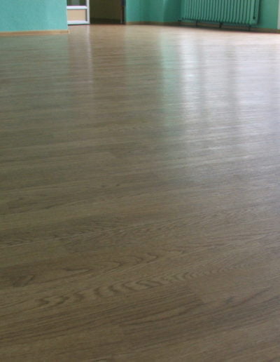 Płyty i Panele Winylowe 120